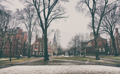 2020 MBA Deferrals and What This Means for MBA Hopefuls