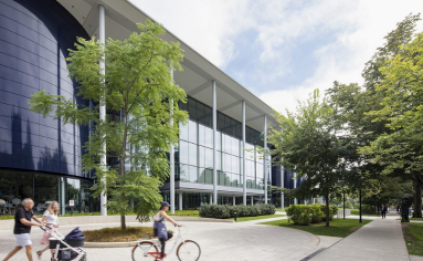 Personal MBA Coach Interview with Laurel Grodman