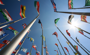 International MBA Student