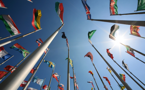 International MBA Student