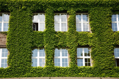 IESE Business School